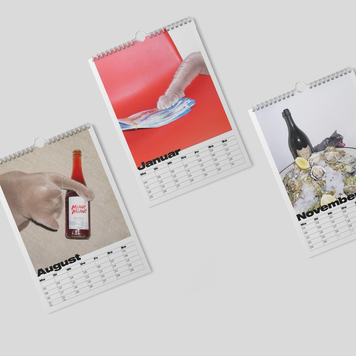 Cats on Nice Shit Kalender 2027 – drei aufgefächerte Monatsblätter August, Januar, November mit Katzenfotos