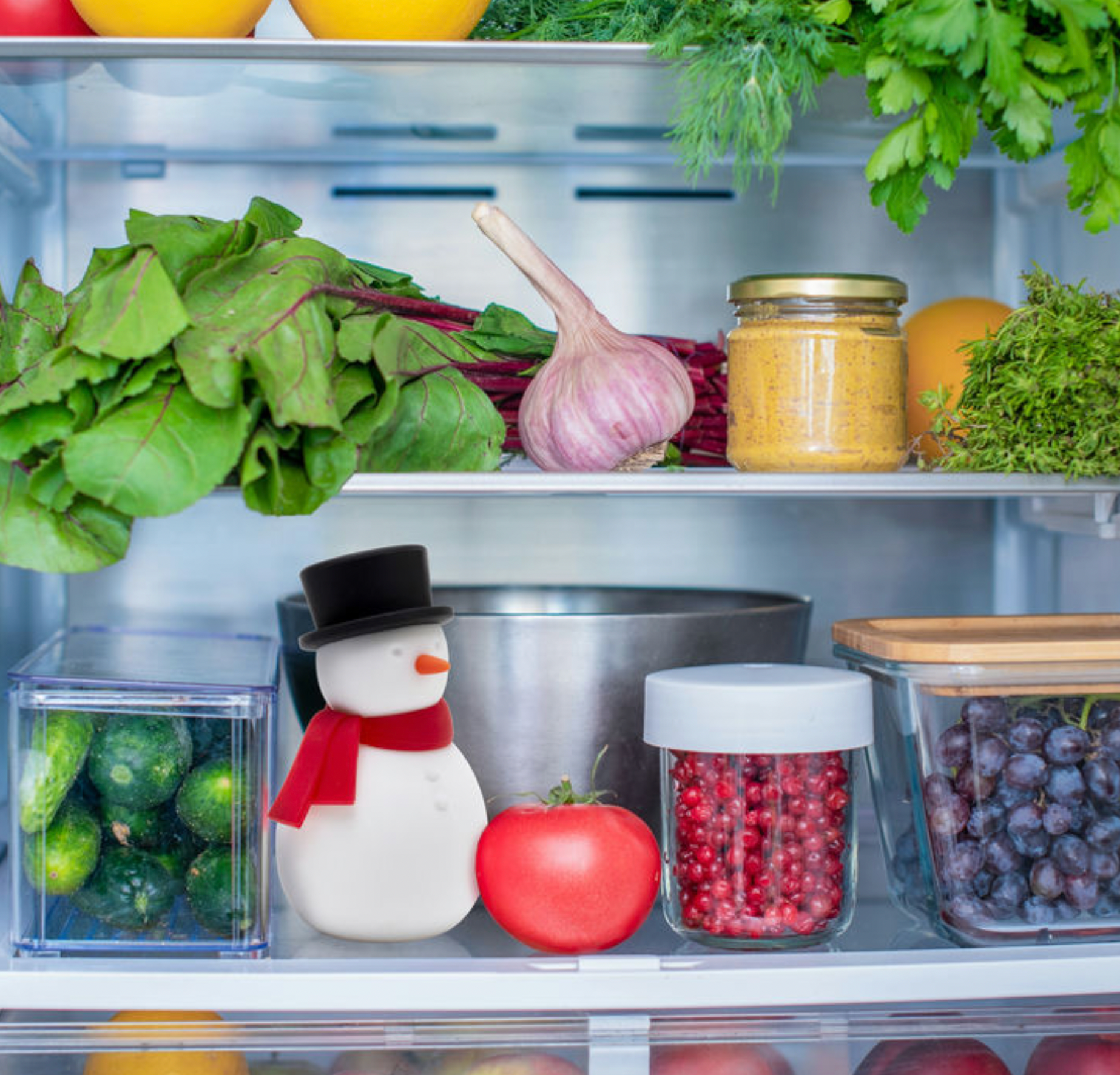 Kühlschrank Geruchsneutralisierer Freezy von Winkee