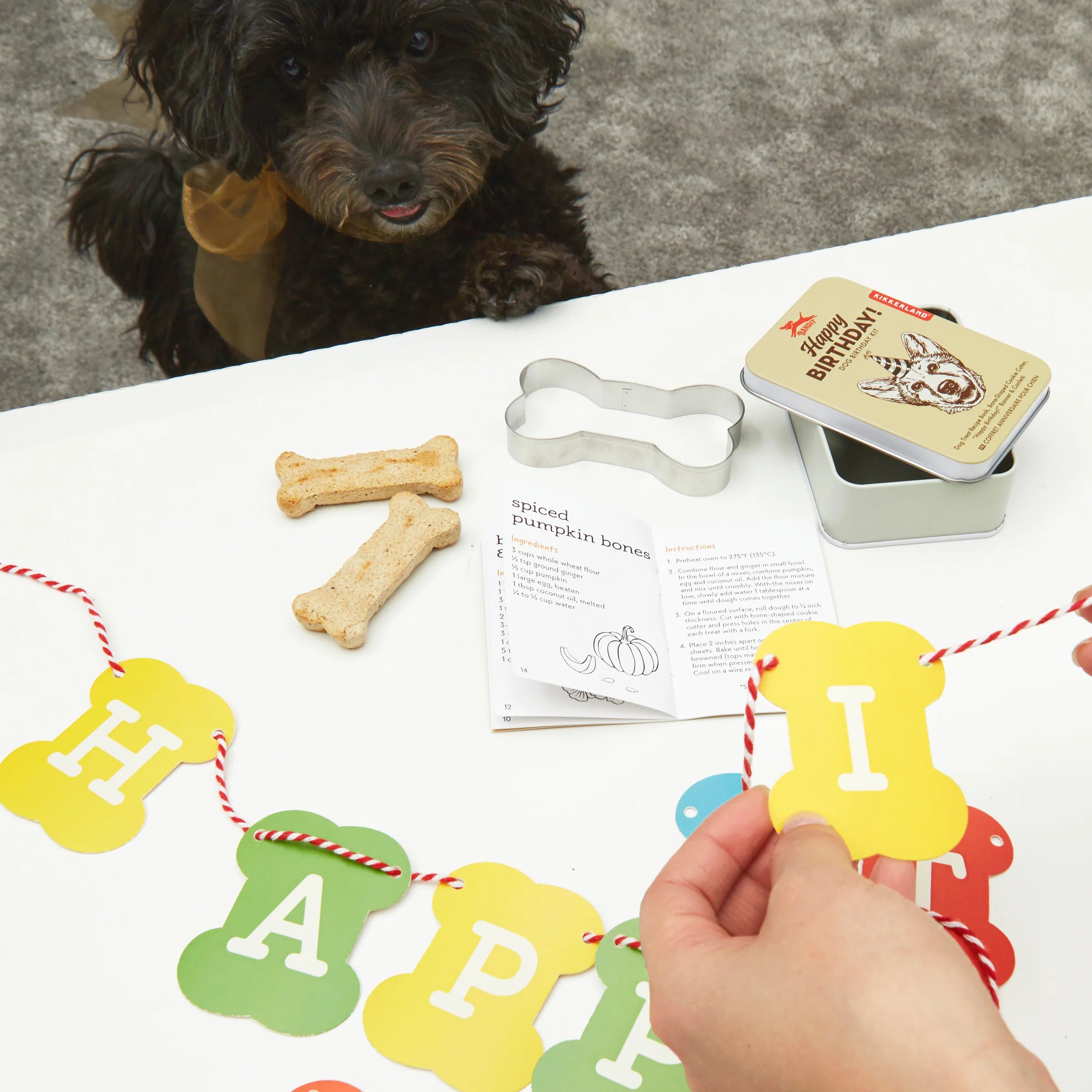 Dose Hunde-Geburtstag von Kikkerland