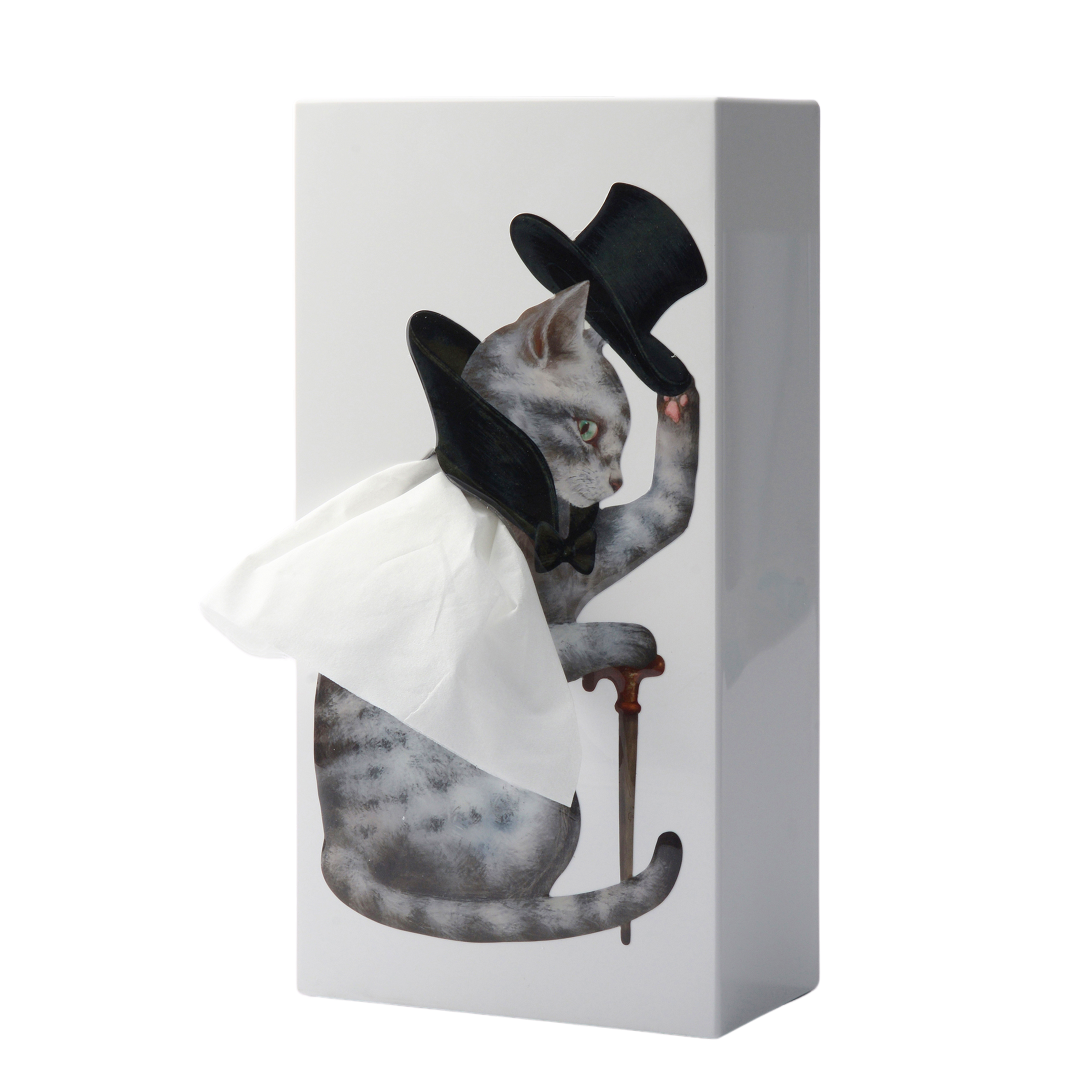 Taschentuchbox Catsby von Spextrum