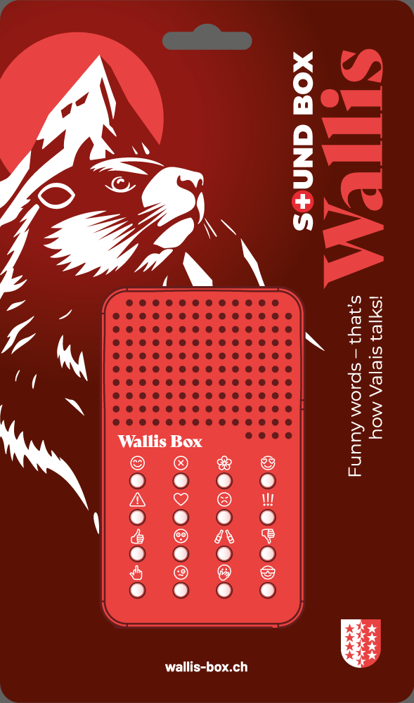 Wallis Box von Sound Box