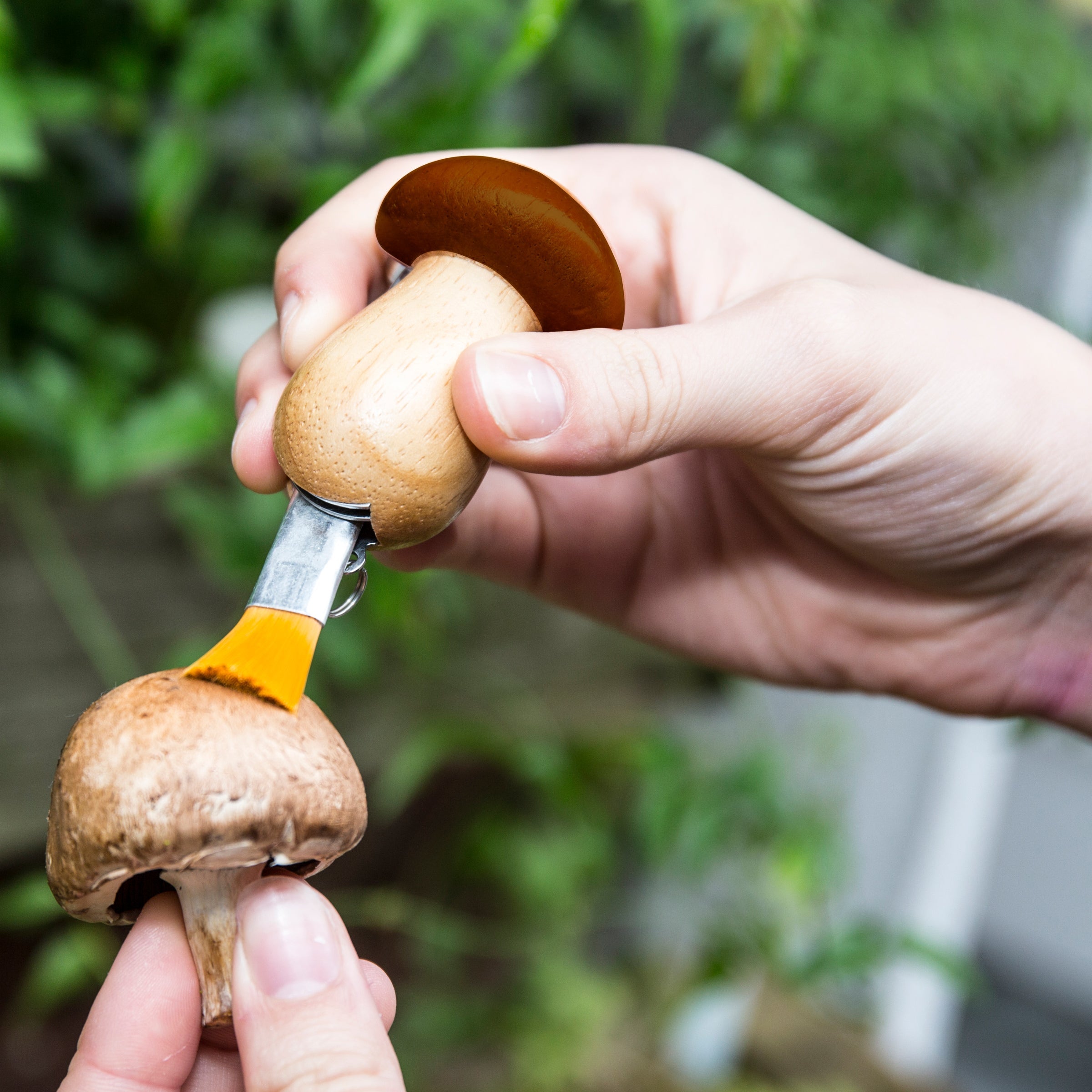 Mushroom Tool Keychain von Kikkerland