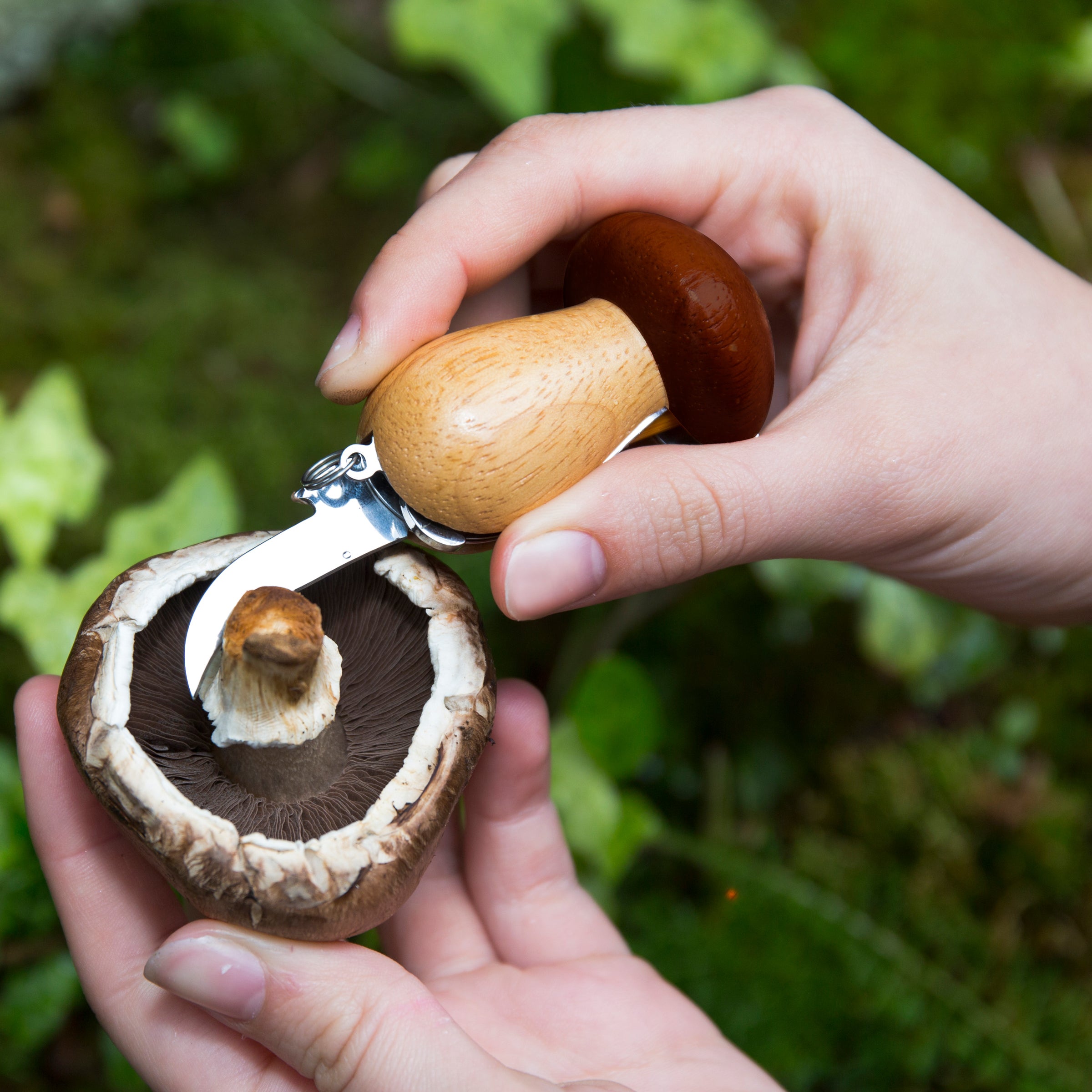 Mushroom Tool Keychain von Kikkerland