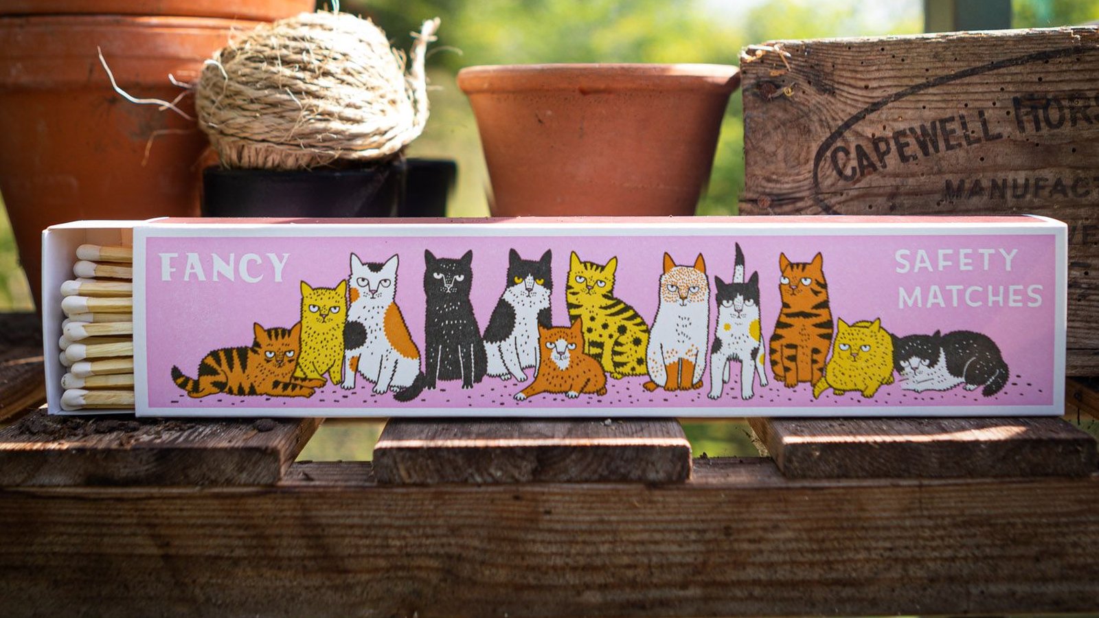 Fancy Safety Matches Streichholzschachtel mit Katzenmotiv in einem Gewächshaus – Geschenkideen bei Chat Noir Bern