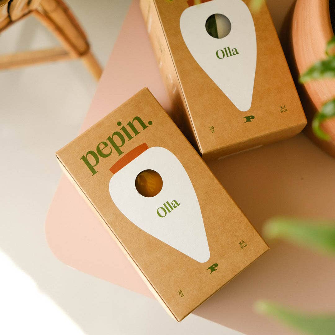 Handgefertigte Olla zur natürlichen Pflanzenbewässerung von Pepin