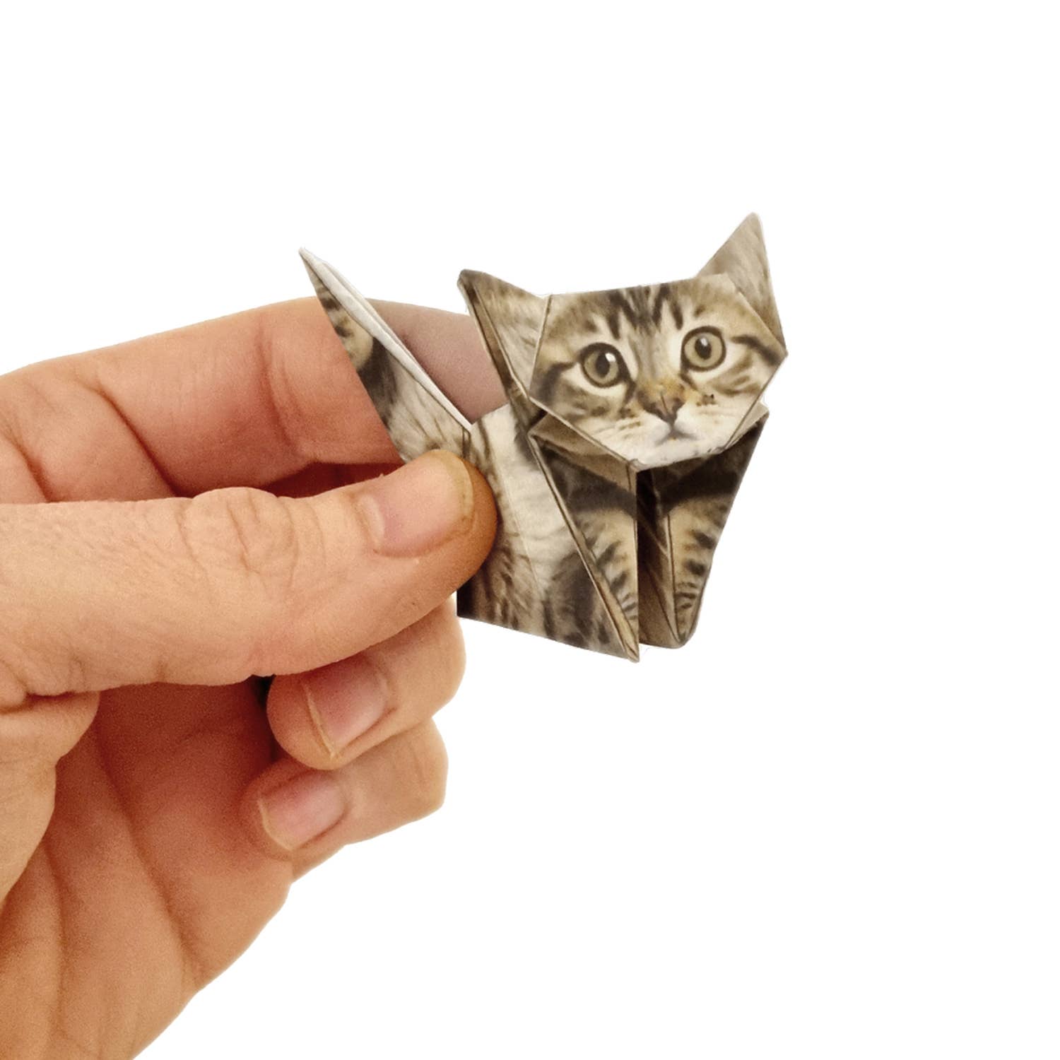 Paper Cats – Origami-Set von Pikkii