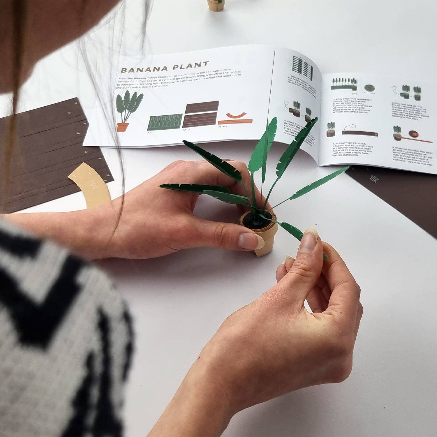 Paper Plants – Origami-Set von Pikkii