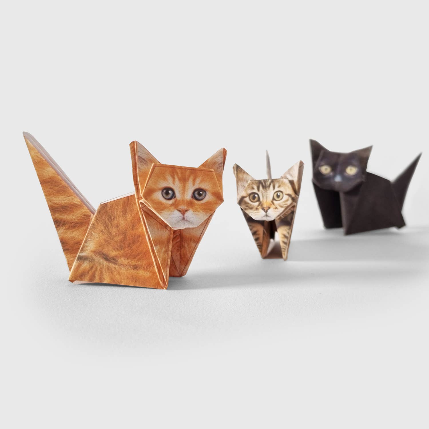 Paper Cats – Origami-Set von Pikkii