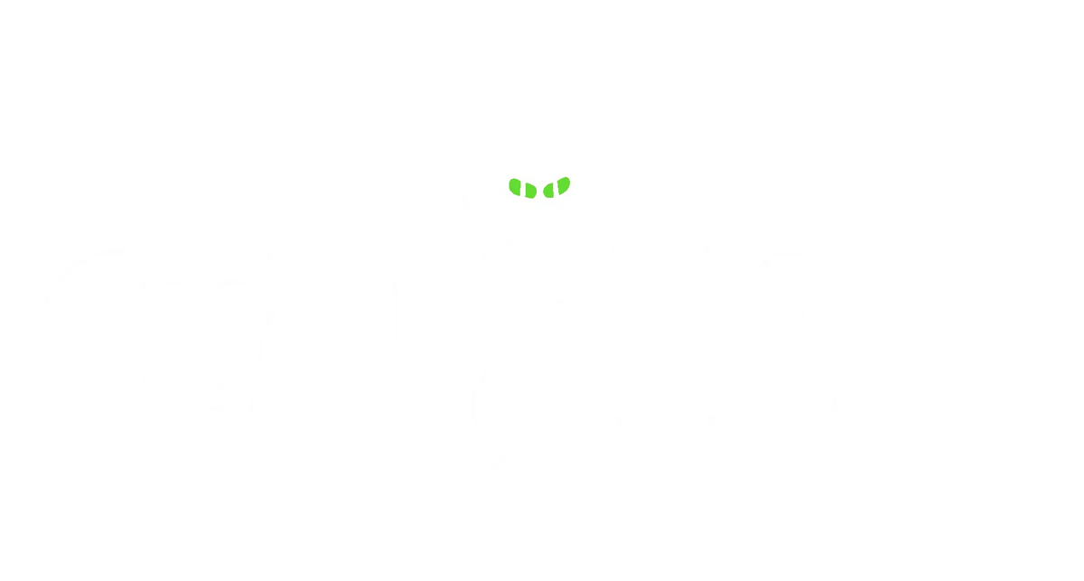 Chat Noir