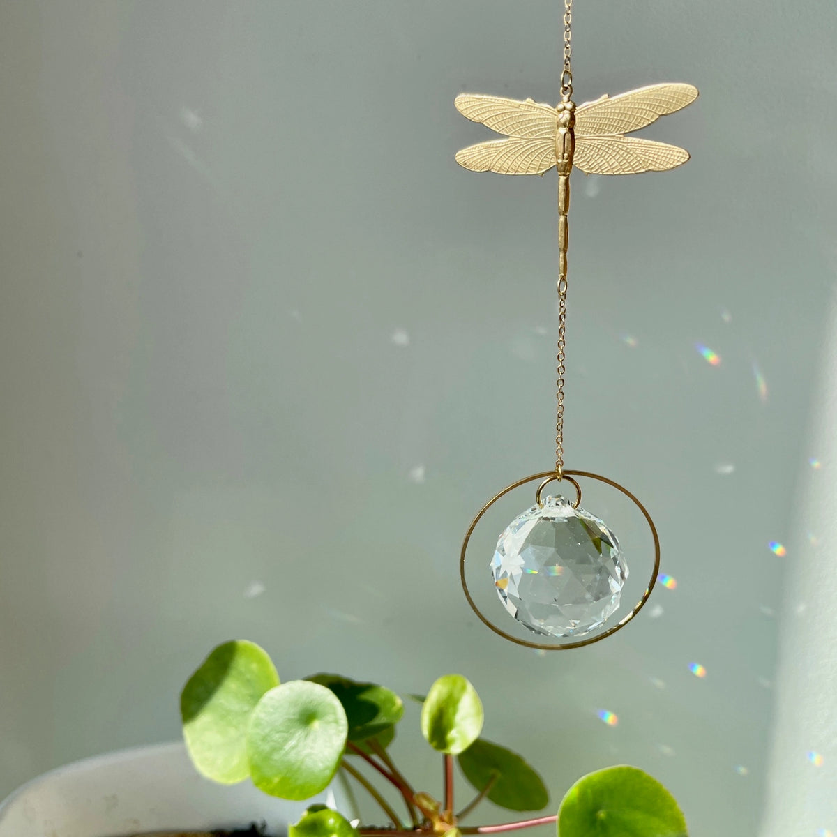 Lichtfänger Libelle von Von Lani – Suncatcher Kristall handgefertigt Schweiz