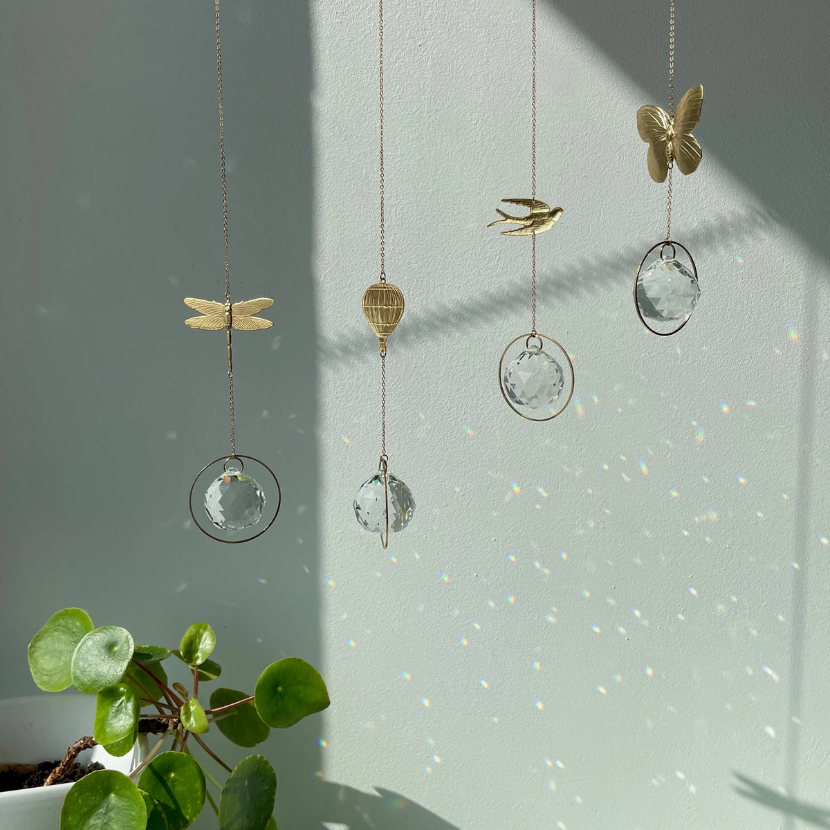 Lichtfänger Schmetterling von Von Lani – Suncatcher Kristall am Fenster