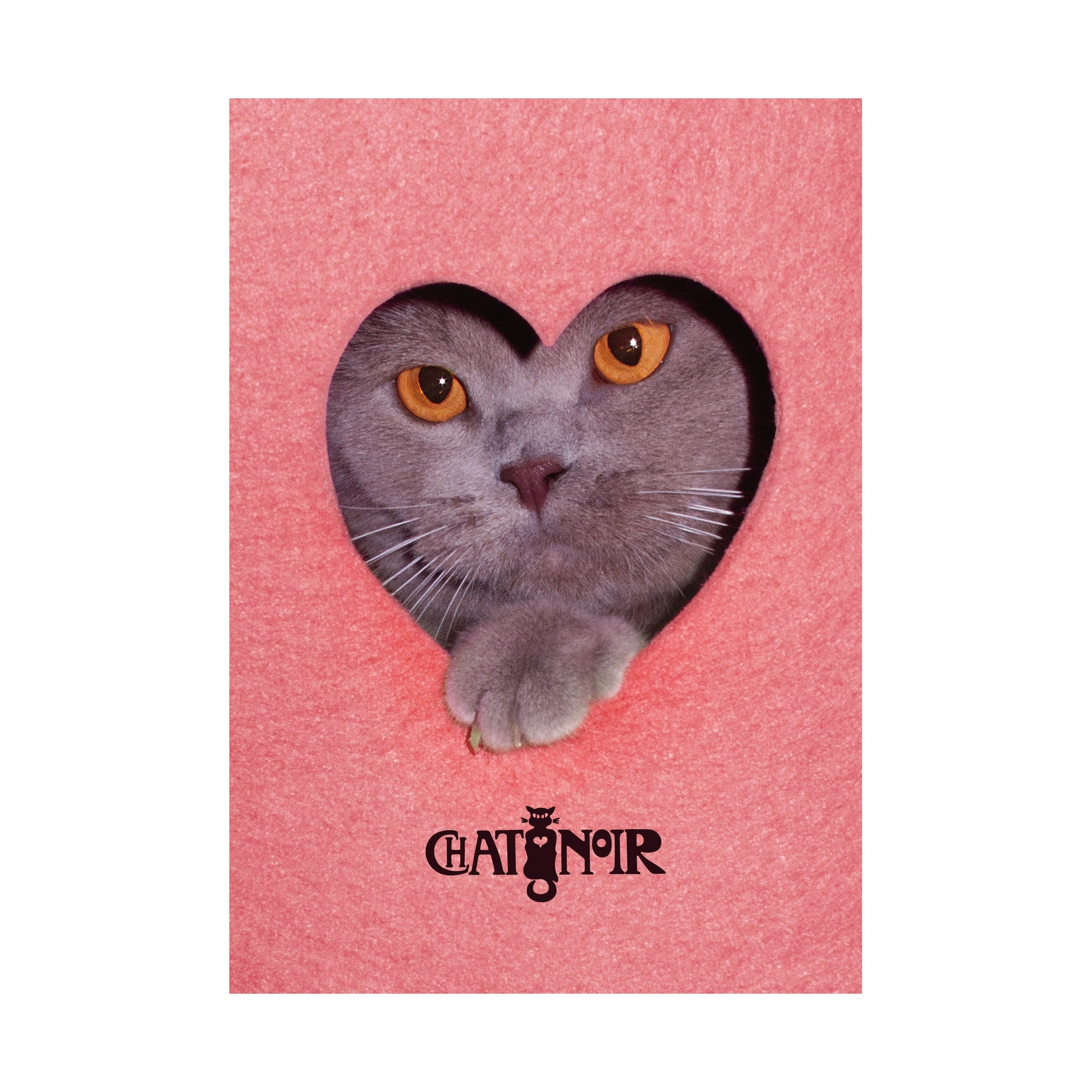 Poster Herzkatze mit Chat Noir Logo – A3 Affichenpapier Blueback von ginadraws.ch