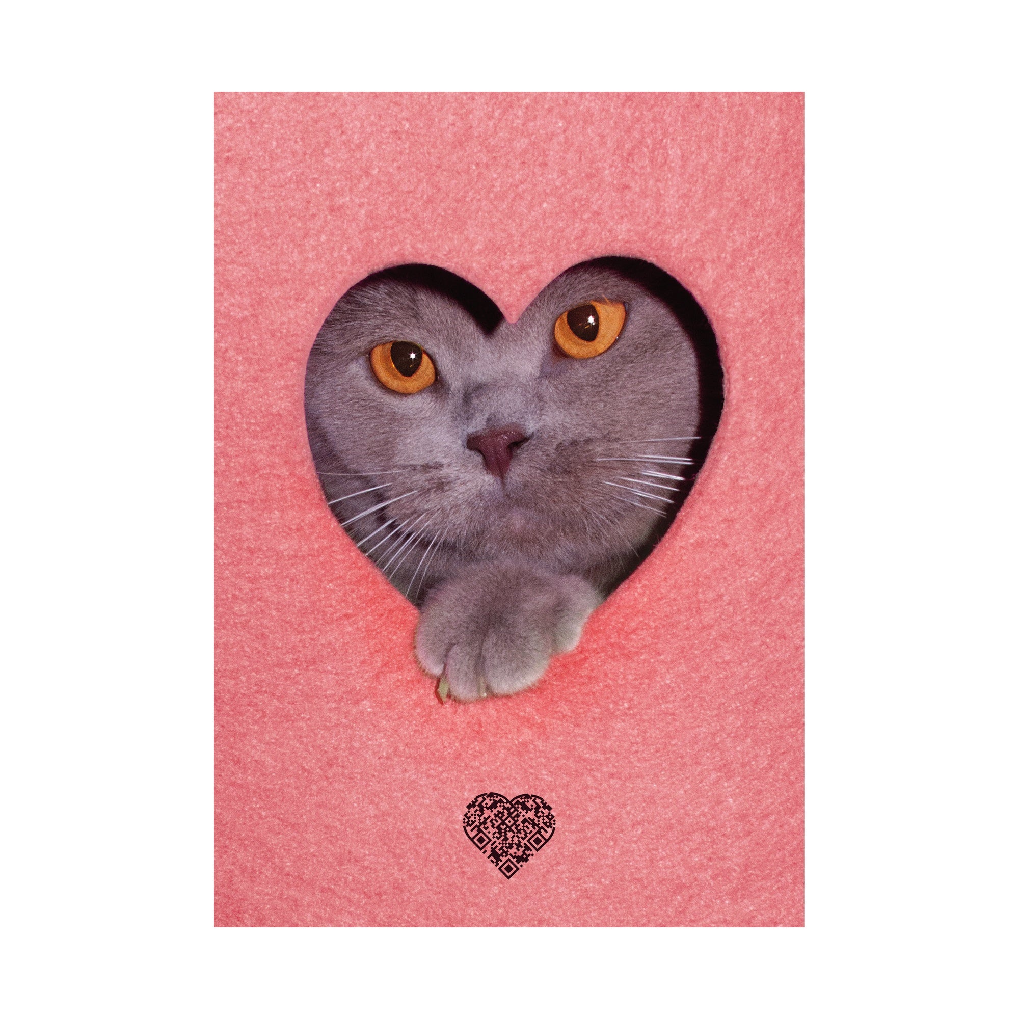 Poster Herzkatze mit QR-Code Herz – A3 Affichenpapier Blueback von ginadraws.ch