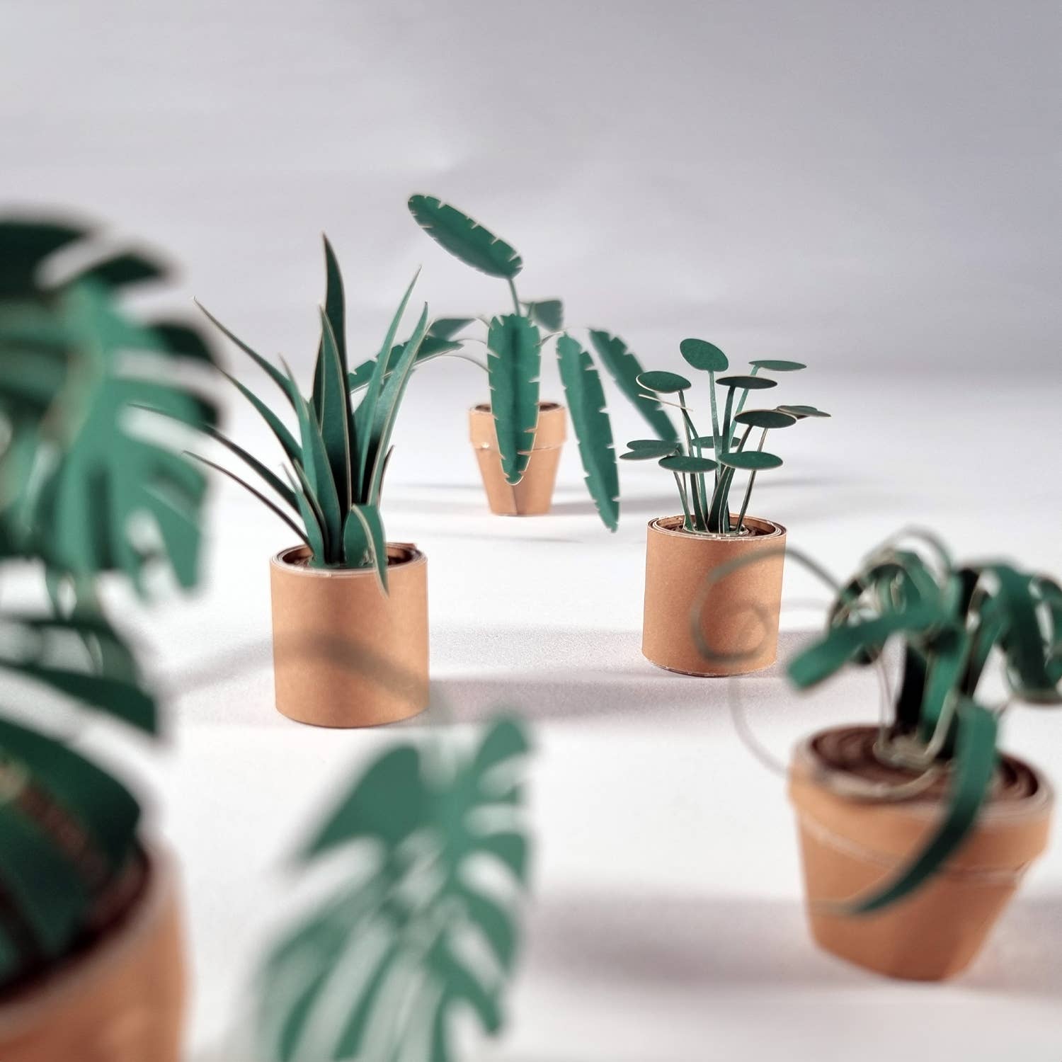 Paper Plants – Origami-Set von Pikkii