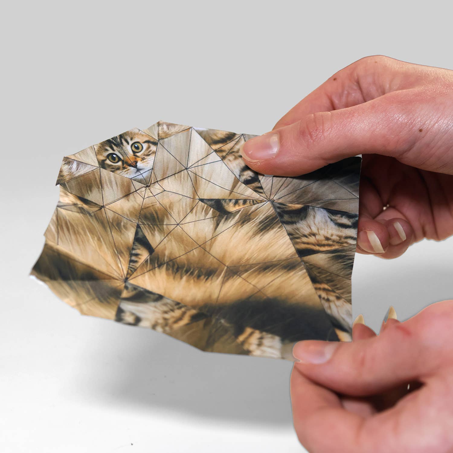 Paper Cats – Origami-Set von Pikkii
