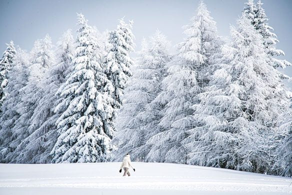 The Art of Skiing. Die schönsten Pisten der Welt von Callwey