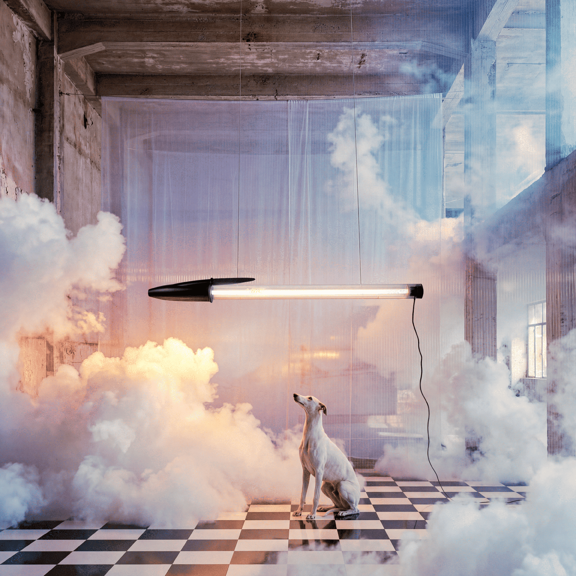 BIC Lamp Blau Seletti – Lifestyle Wohnzimmer, Stehlampe neben Sofa