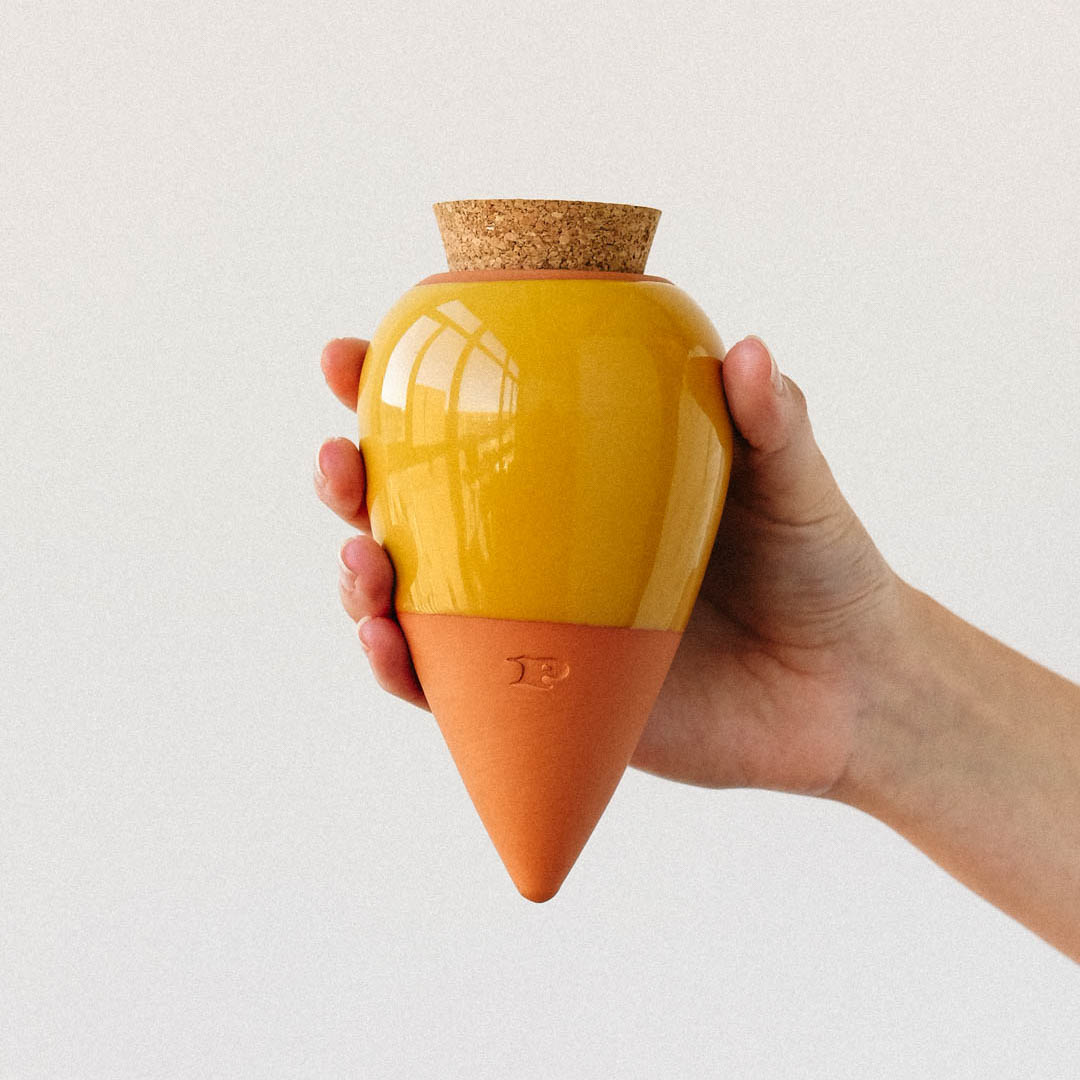 Pepin Olla – Lifestyle in Zimmerpflanze eingebettet