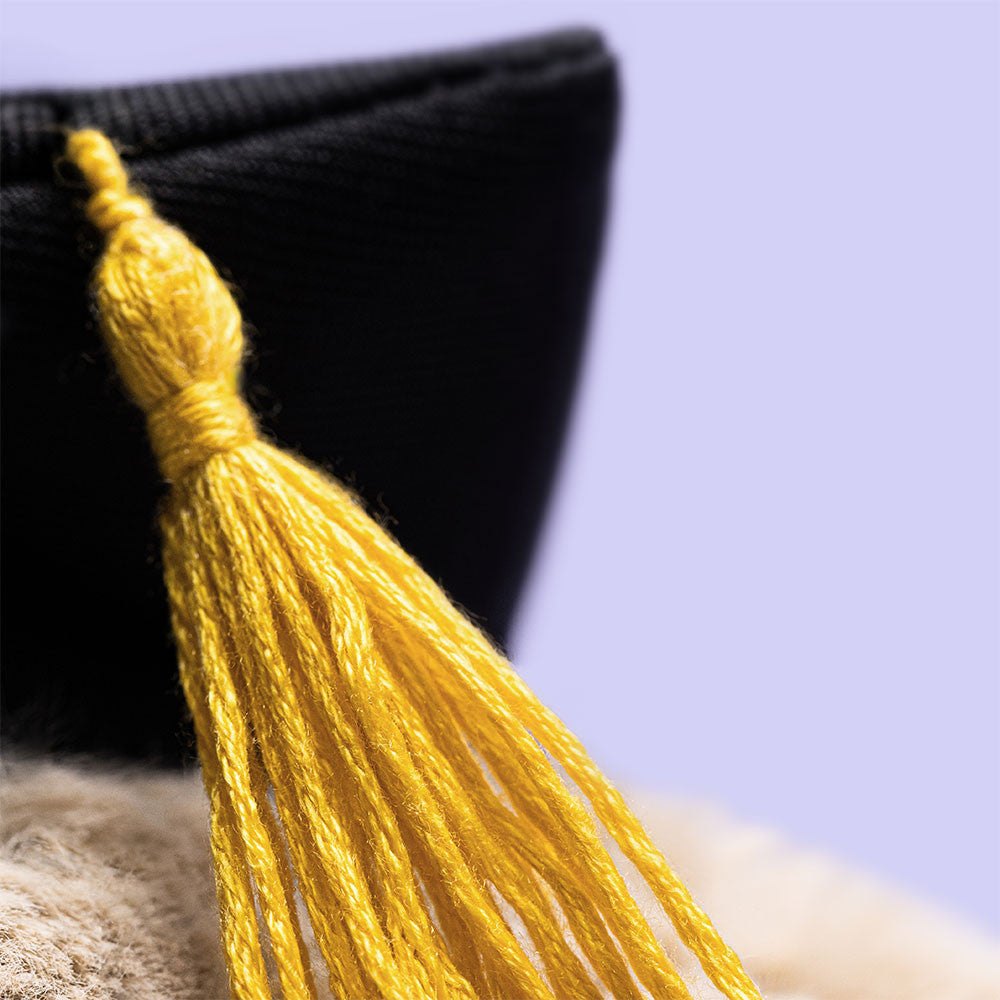 Bashful Bunny Graduation Outfit – Jellycat
