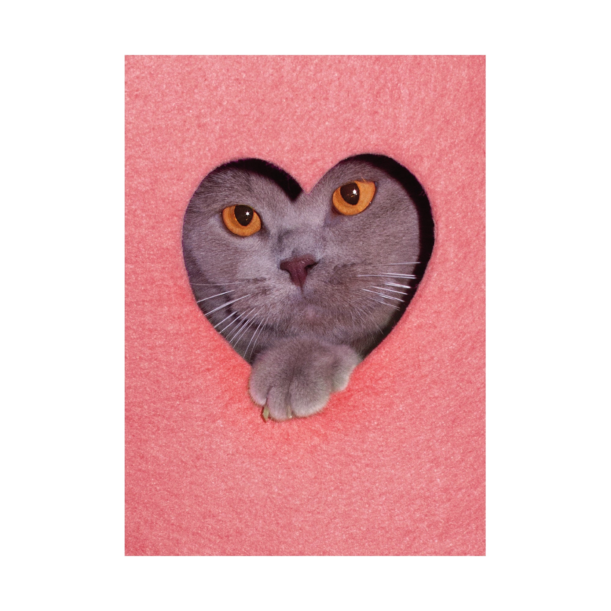 Postkarte Herzkatze Vorderseite – graue Katze im Herzausschnitt, illustration ginadraws.ch × Chat Noir